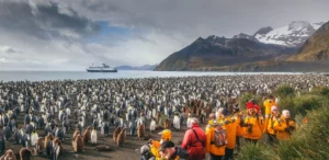 South Georgia and Antarctic Peninsula: Penguin Safari